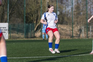 Bild 259 - F Hamburger SV 3 - Blau-Weiss 96 : Ergebnis: 5:1